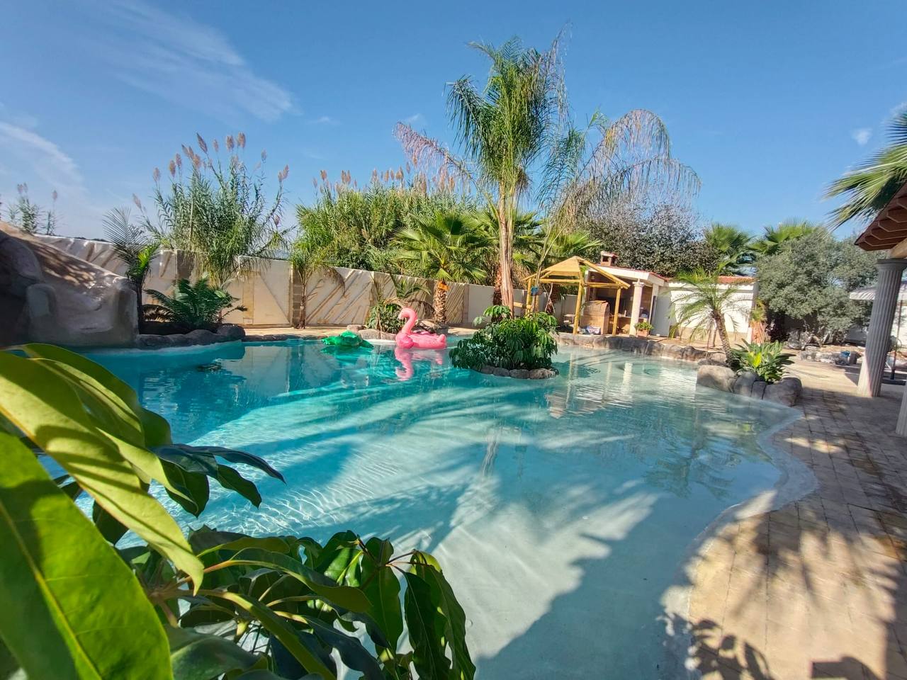 Piscina tropical residencial con acabado arena y palmeras